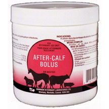 after calf bolus