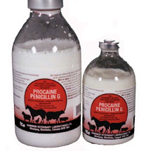 procaine penicillin